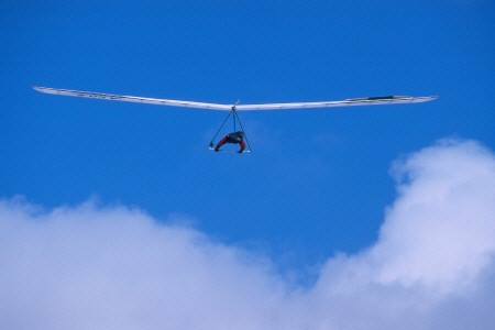 Rigid wing hang glider